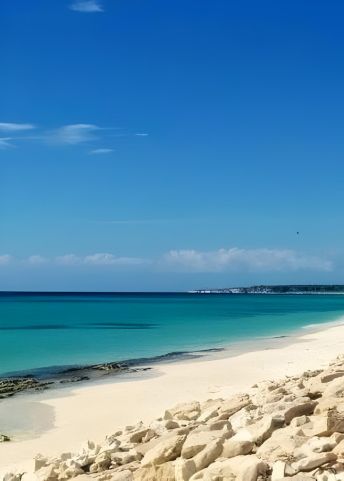 Bahia de las Aguilas