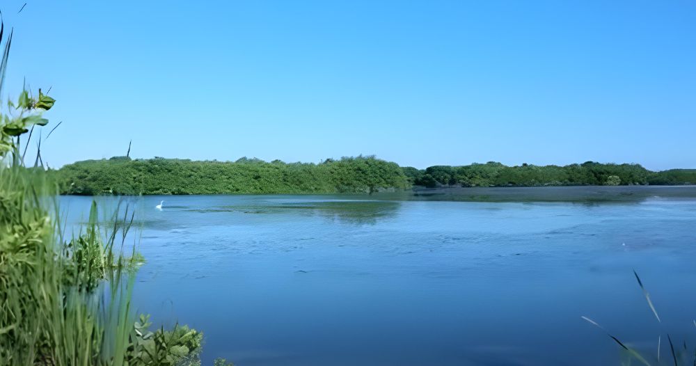 Laguna-Bavaro-en-Punta-Cana