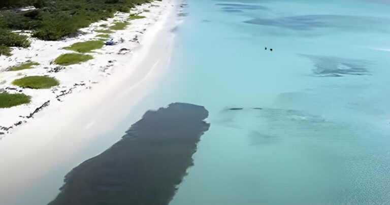 Tours de Naturaleza y Exploracion en Punta Cana